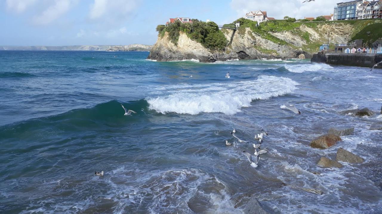 Blue Room Hostel Newquay New Quay Exterior foto